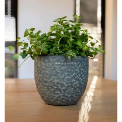 Steege Plantenpot Rinca - Groen - Lava Look - 36 X 32 Cm -Uitgebreide Kwaliteitswinkel Voor Thuis 9d2524f7a7f84fe98207859007ce2b0b